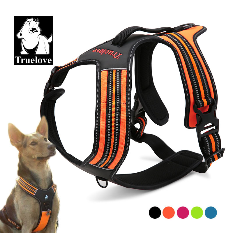 Outdoor Adventure Xl - Truelove Sport Naylon Yansıtıcı Çekişsiz Köpek