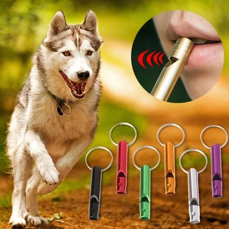 Hayatta Kalma Düdüğü - Yürüyüş - Emergency Whistle Pea incelemesi ve fiyatı